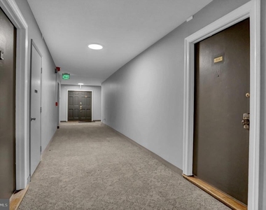 1101 Saint Paul Street - Photo Thumbnail 31