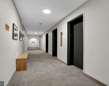 1101 Saint Paul Street - Photo Thumbnail 30