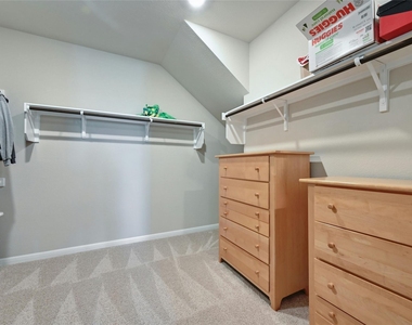 12603 Purple Prairie Ln - Photo Thumbnail 16