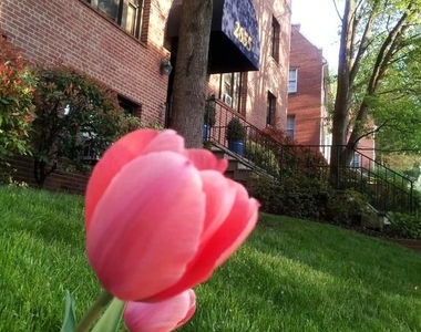 2655 41st Street Nw - Photo Thumbnail 1