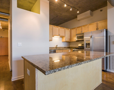 700 N Larrabee Street - Photo Thumbnail 12
