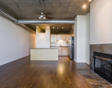 700 N Larrabee Street - Photo Thumbnail 16