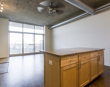 700 N Larrabee Street - Photo Thumbnail 14