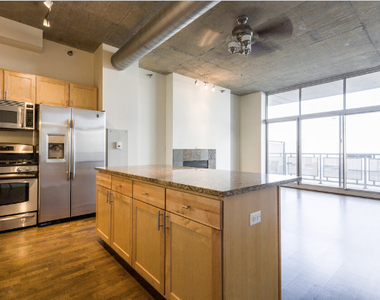 700 N Larrabee Street - Photo Thumbnail 11