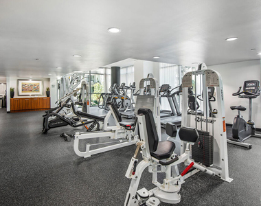 13650 Marina Pointe Drive - Photo Thumbnail 39