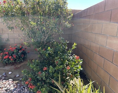 40082 Catania Court - Photo Thumbnail 21