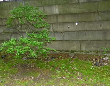 715 Kennedy Drive - Photo Thumbnail 16