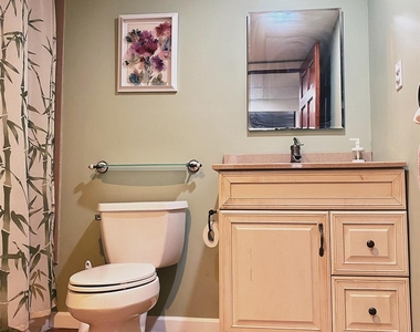 19 Stewart Street - Photo Thumbnail 16
