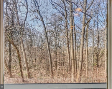 3630 39th Street Nw - Photo Thumbnail 25