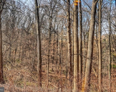 3630 39th Street Nw - Photo Thumbnail 11