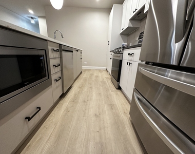 4315 S Indiana Avenue - Photo Thumbnail 3
