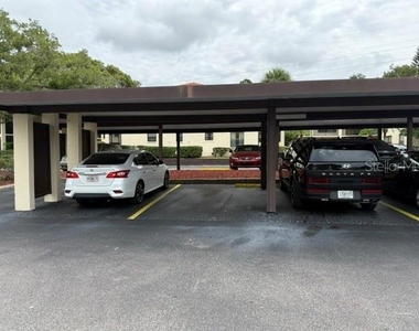1711 Hammock Pine Boulevard - Photo Thumbnail 47
