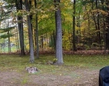 101 Farmington Chase Crescent - Photo Thumbnail 19