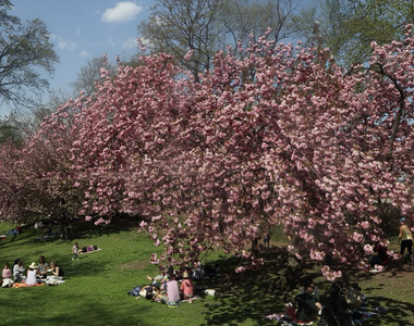 205 East 59th Street - Photo Thumbnail 8