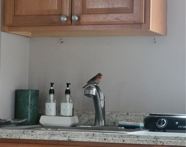 21171 B Lochlea Lane - Photo Thumbnail 21