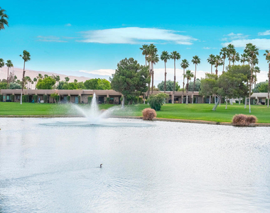 28914 Desert Princess Drive - Photo Thumbnail 21