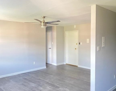 262-266 E Cliveden Street - Photo Thumbnail 4