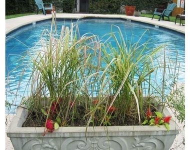 5601 Woodrow Ave - Photo Thumbnail 16