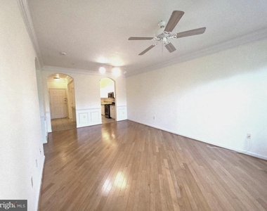 7 Booth Street - Photo Thumbnail 4