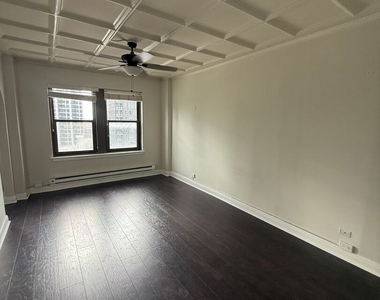 1211 N Lasalle Street - Photo Thumbnail 3