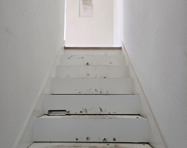 1206 Schweikhardt Street - Photo Thumbnail 12