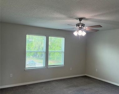 1042 Michelangelo Lane - Photo Thumbnail 28