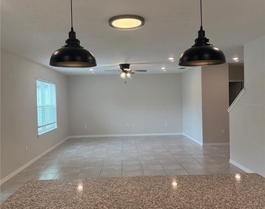 1042 Michelangelo Lane - Photo Thumbnail 11