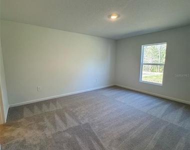 4820 Yellow Elder Way - Photo Thumbnail 9