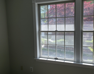 22 Chamberlain Street - Photo Thumbnail 9