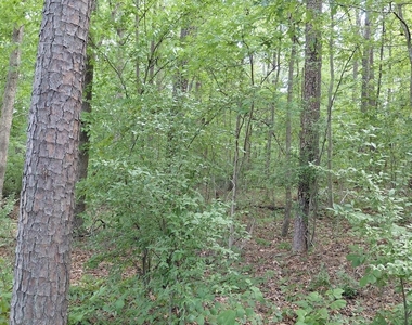 3400 New Hampshire Drive - Photo Thumbnail 26