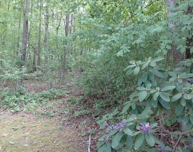3400 New Hampshire Drive - Photo Thumbnail 25
