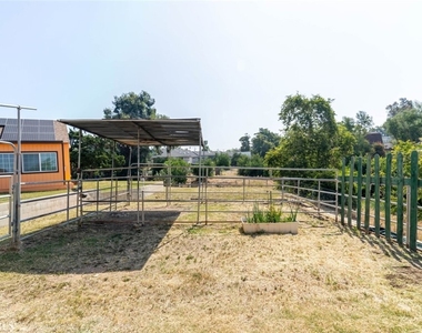 13057 Gladstone Avenue - Photo Thumbnail 31