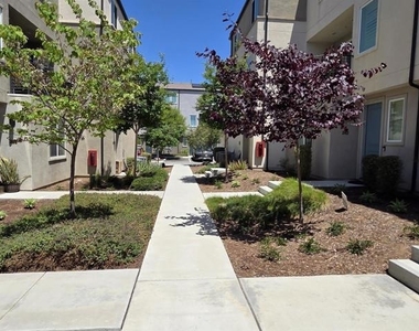 5280 Beachfront - Photo Thumbnail 24