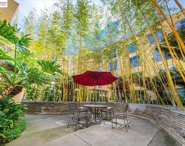 809 Clay St - Photo Thumbnail 23