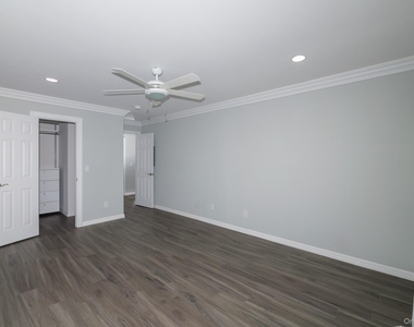 98 Cassa Loop - Photo Thumbnail 7