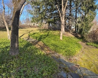 423 Springvale Road - Photo Thumbnail 29