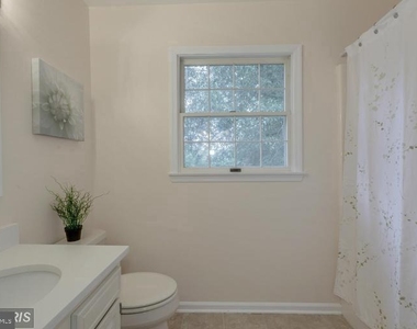 5820 Silchester Street - Photo Thumbnail 29