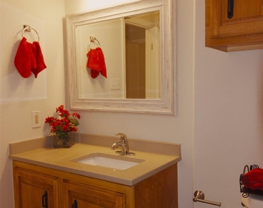 5308 Peppertree Pkwy - Photo Thumbnail 12