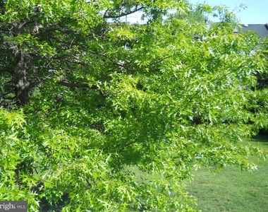 2807 Cornet Court - Photo Thumbnail 39