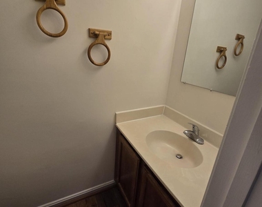 4054 Cottontop Court - Photo Thumbnail 13