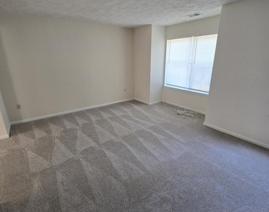 4054 Cottontop Court - Photo Thumbnail 4