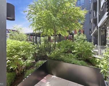 7175 12th Street Nw - Photo Thumbnail 20