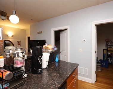 1738 W Altgeld Street - Photo Thumbnail 2