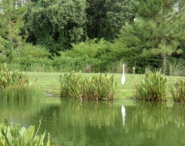5513 Somersby Road - Photo Thumbnail 24