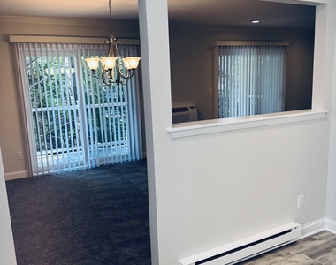 97 Richards Avenue - Photo Thumbnail 4