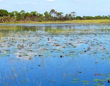 200 Intracoastal Place - Photo Thumbnail 59