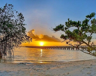 200 Intracoastal Place - Photo Thumbnail 58