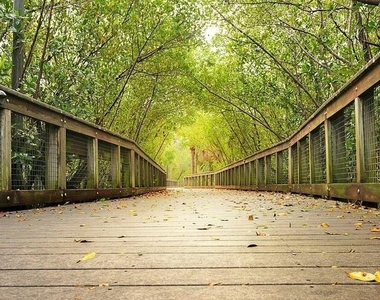 200 Intracoastal Place - Photo Thumbnail 62