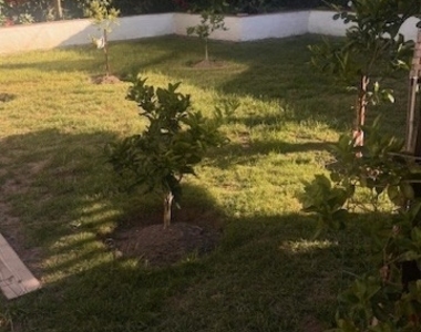 11841 Montecito - Photo Thumbnail 5