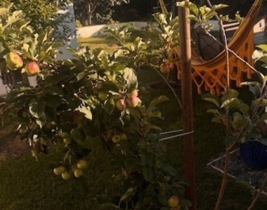 11841 Montecito - Photo Thumbnail 7